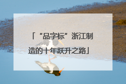 “品字标”浙江制造的十年跃升之路